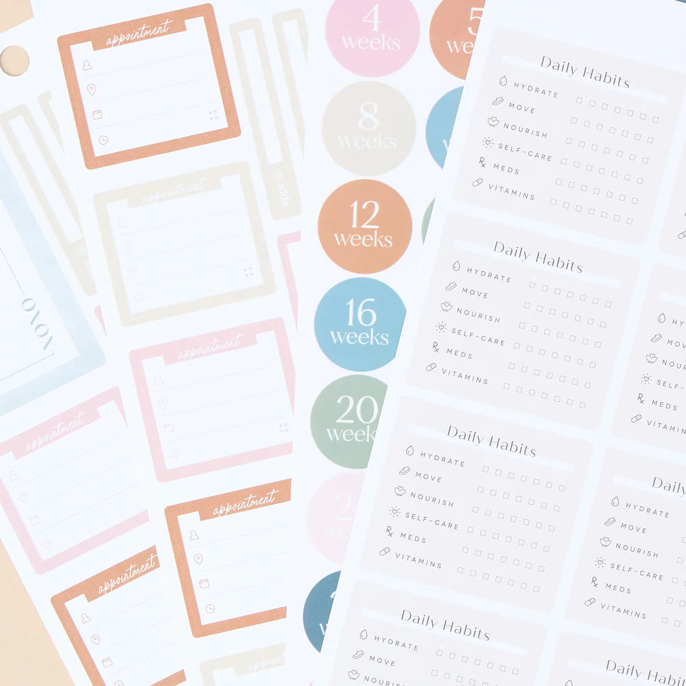 Happy Planner - Value Pack Stickers Baby on the Way