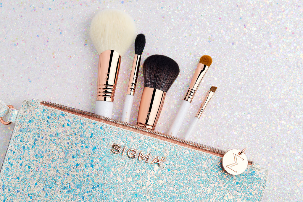 Sigma Holiday Glam Brush Kit