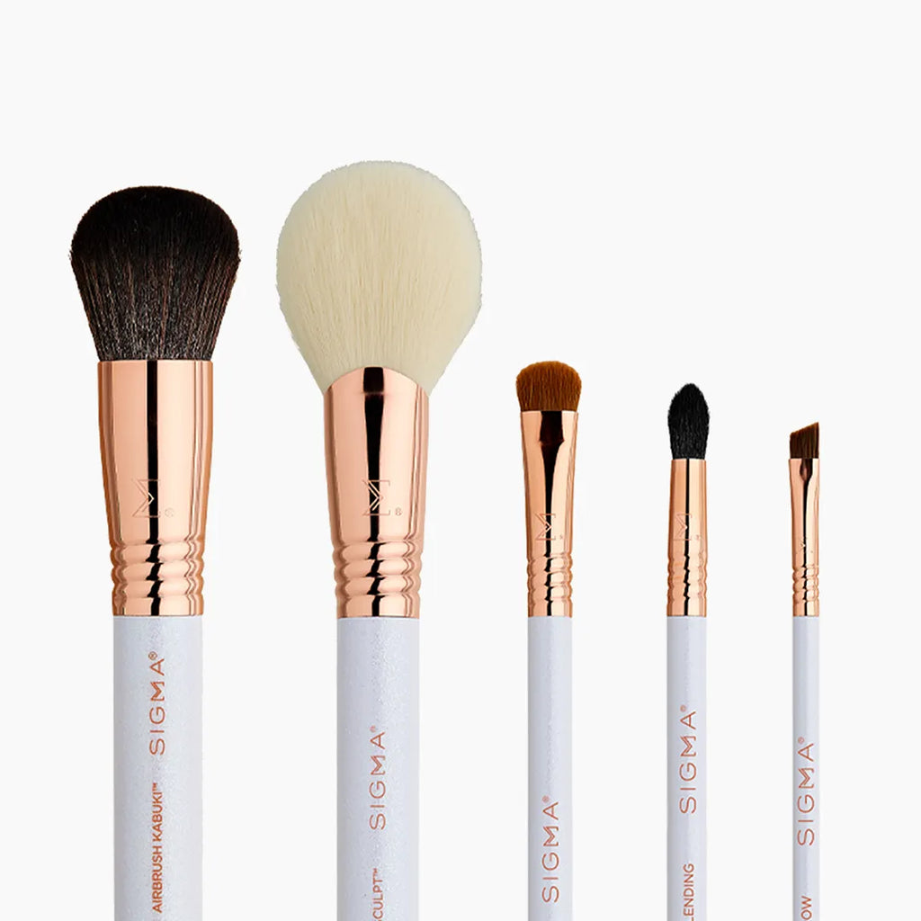 Sigma Holiday Glam Brush Kit
