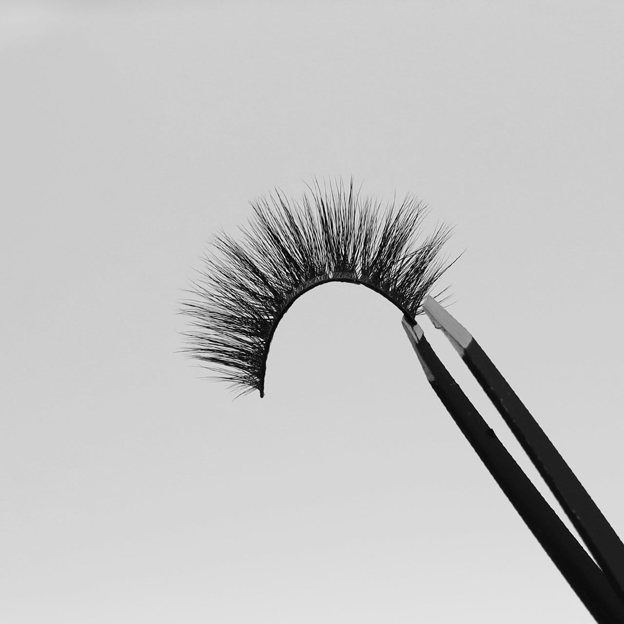 JLash  - Rudolph Reindeer Milk & Cookie