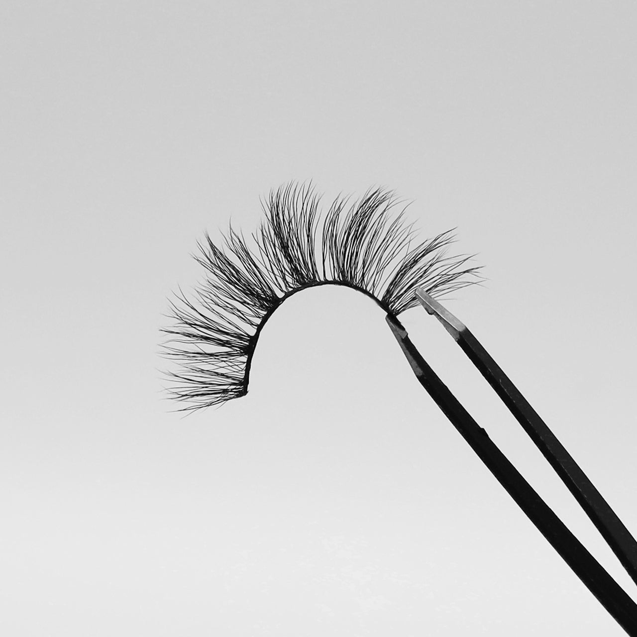 JLash  - Rudolph Reindeer Milk & Cookie